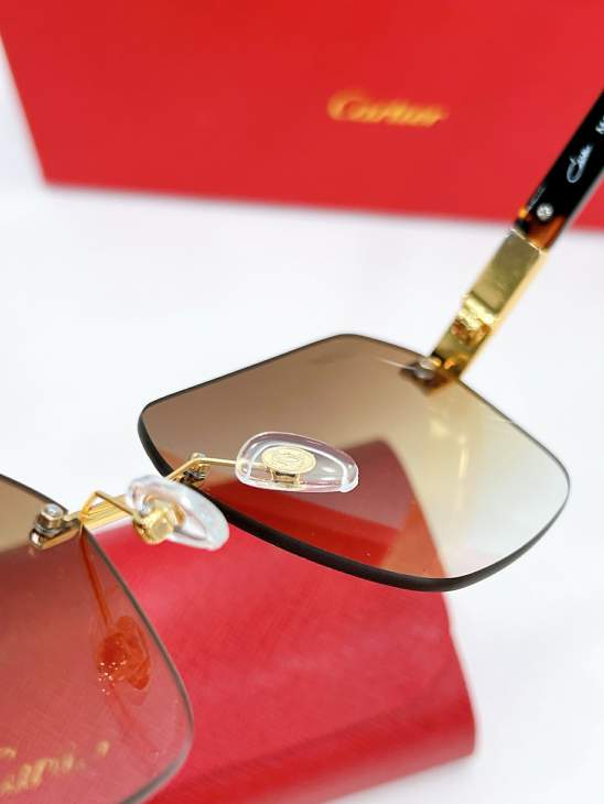 Picture of Cartier Sunglasses _SKUfw79566442fw